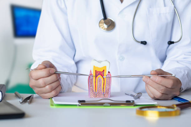  Portland, MI Emergency Dentist Pros